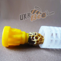 Jenter cell cup holders (smooth/ribbed)