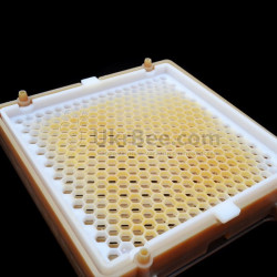 Comb Grid for the Jenter Comb