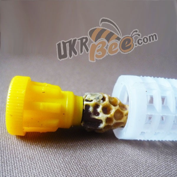 Jenter cage (wide hair roller)