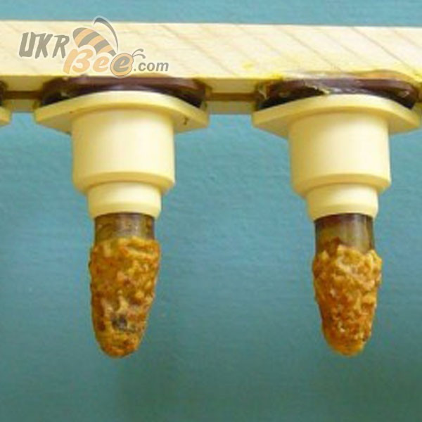 Nicot Cell Cup Holders