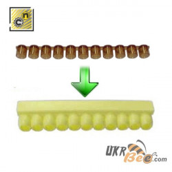 Nicot Cell Cup Strip Holder