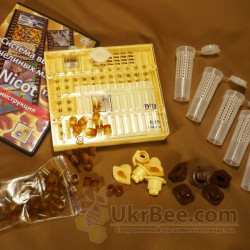 Nicot queen rearing system set "Nicot-20+ DVD"
