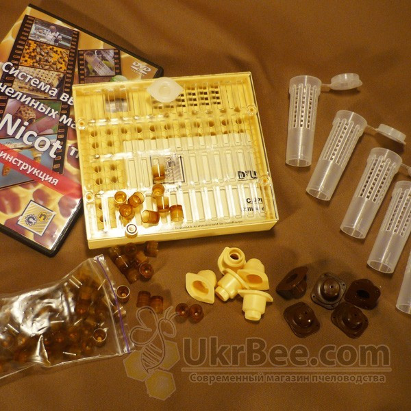 Nicot queen rearing system set "Nicot-20+ DVD"