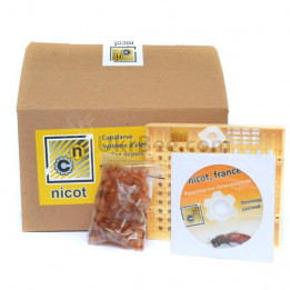 Nicot System "Start" Kit