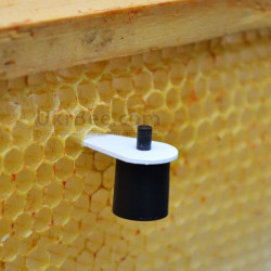 Holder for Czech cell cups