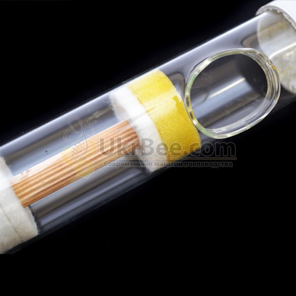 Glass "Flaubert" Tube, Germany