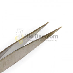 Beekeeping Tweezers (for Larvae)