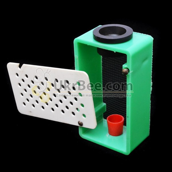 Zander Queen Isolation Cage