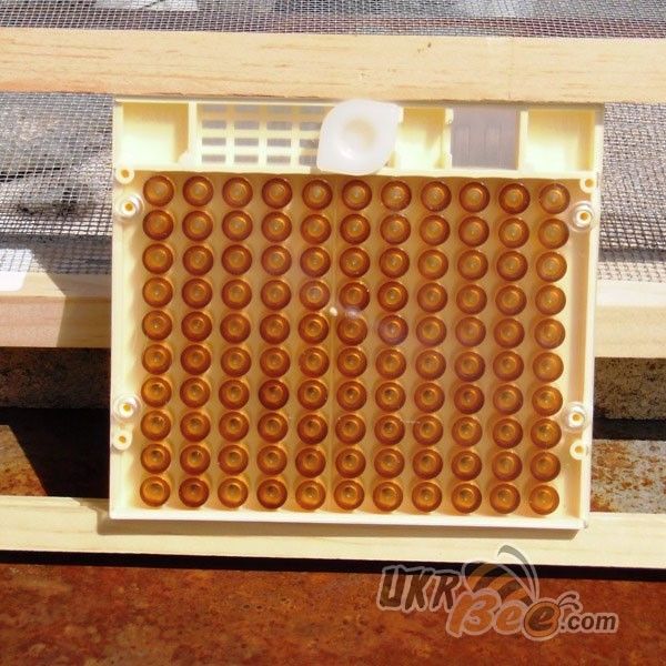 Система Никот набор "Nicot-30" для выведения маток в пчеловодстве (рис 12)