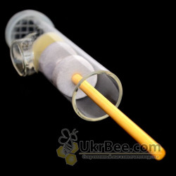 Flaubert Tube for Queen Marking. Austria