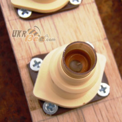 Nicot Queen Rearing System Kit "Nicot-100"