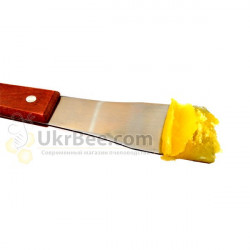 Honey Spoon 23 cm (Czech Republic)