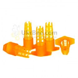Protective Cap for Queen Cell