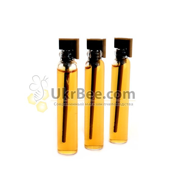Jenter glue for queen bee marking tags