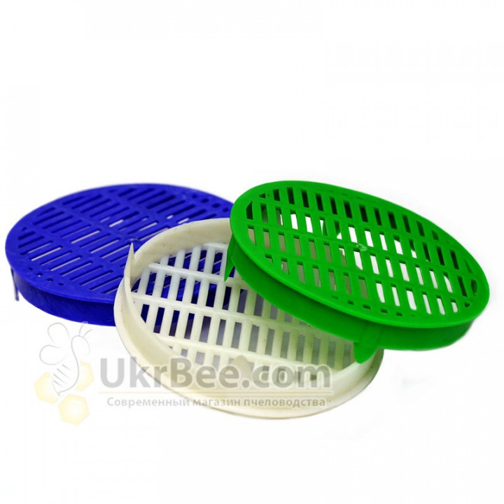 Queen Bee Introduction Cage Cap