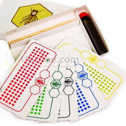 Set of Opalith Numbered Queen Marking Discs. Czech Republic