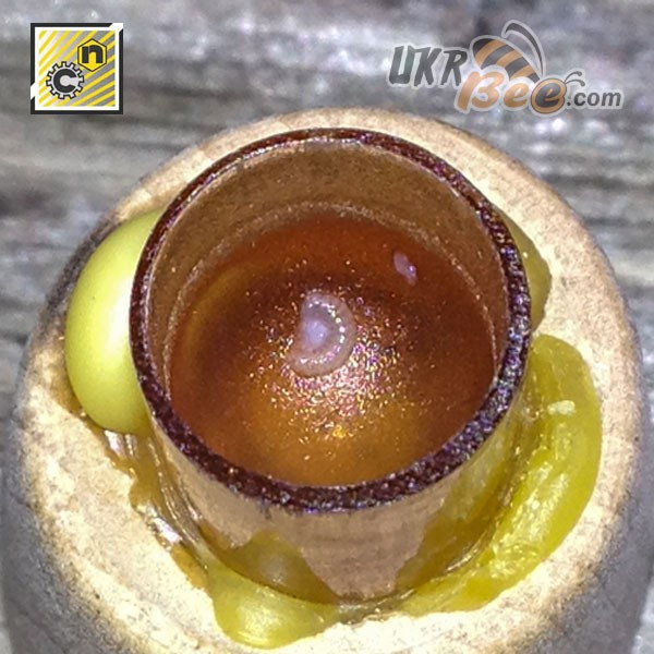 Мисочки Nicot (Нікот) 50шт. (мал 4)