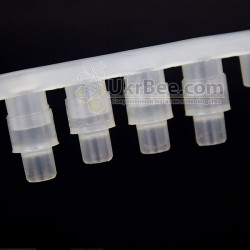 BEE-CUP Queen Cell Strip