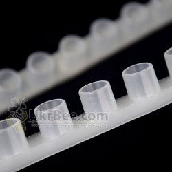 BEE-CUP Queen Cell Strip