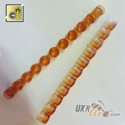 Nicot cell cup strips for royal jelly