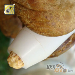 Nicot Queen Cell Protector Cap
