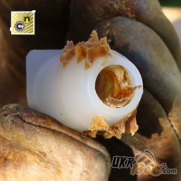 Ковпачок для захисту маточника Нікот (Nicot, France) (мал 8)