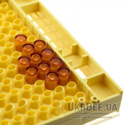 API-MAXI "30" Queen Rearing Comb