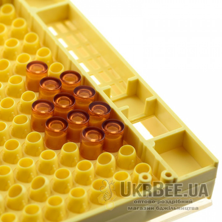 API-MAXI "30" Queen Rearing Comb