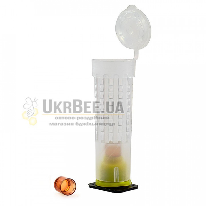 Queen rearing kit: cage, holder, base, cell cup