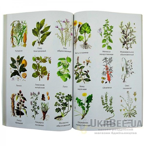 Книга "Травник. Цілющі властивості рослин"