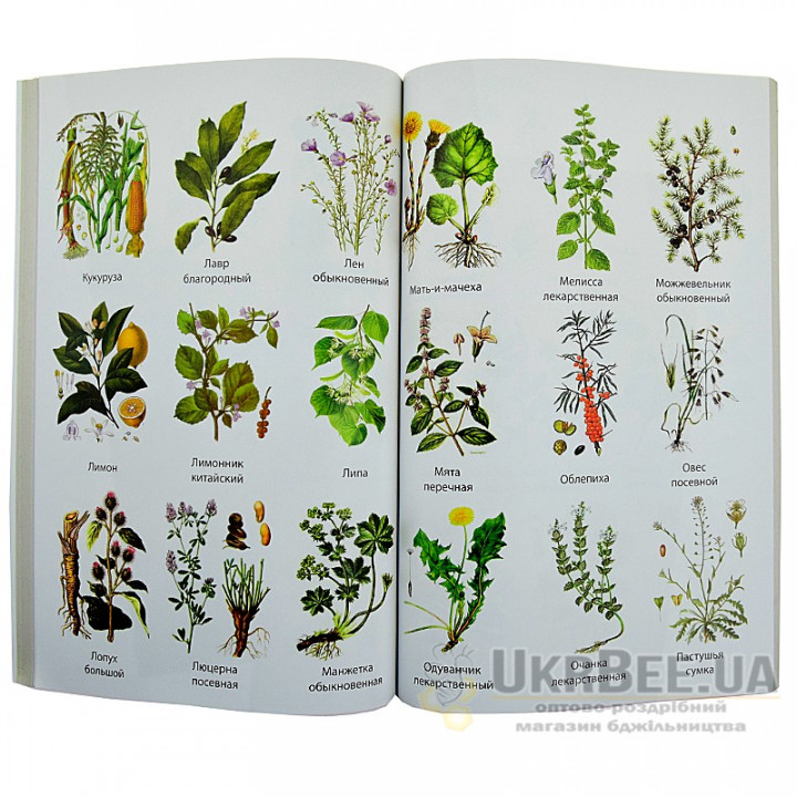 Book "Herbalist. Healing Properties of Plants"