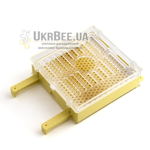 Jenter Comb (art. 001)