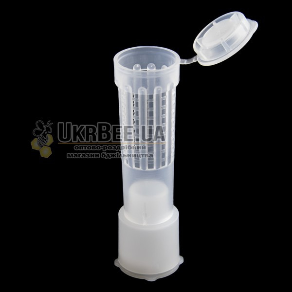 Nicot Queen Cell Protector Cap with Lid