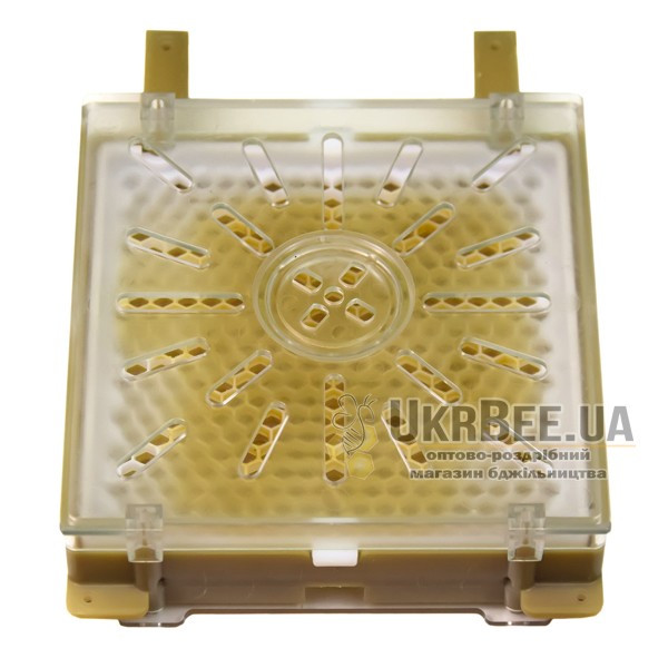 Jenter cover plug
