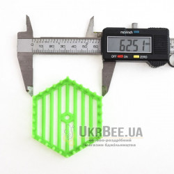 Queen Bee Cage Cap "Hexagon"