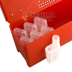 JZ-BZ (USA) transport box for 20 queen cages