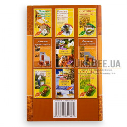 Book "Apiary Ergonomics and Biolocation", N.M. Kokorev, B.Ya. Chernov