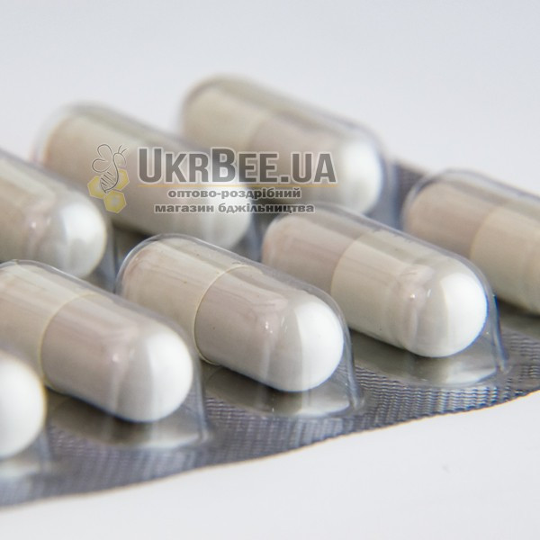 Продукт "Трутневий гомогенат" (10 капсул)