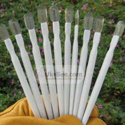 Royal Jelly Collection Spatula