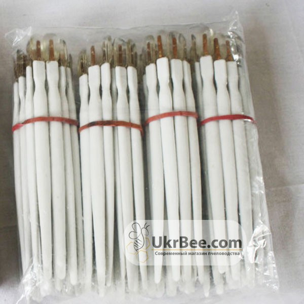 Royal Jelly Collection Spatula