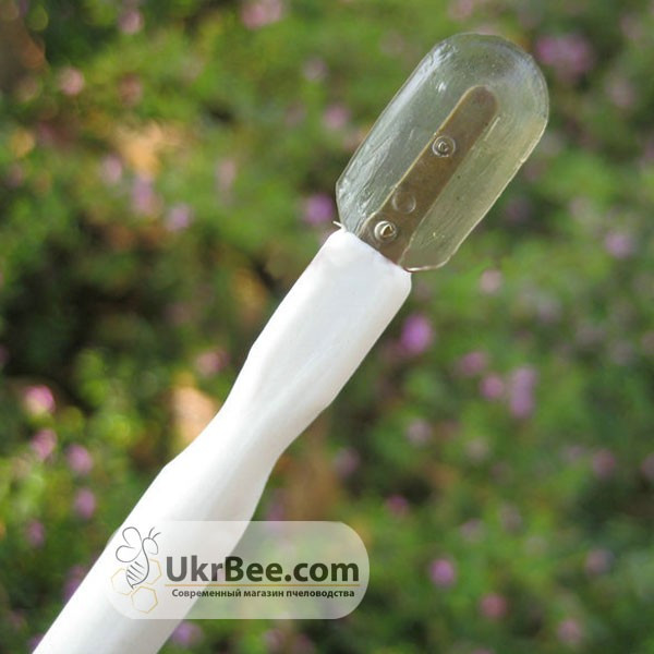 Royal Jelly Collection Spatula