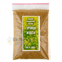 Yellow Mustard. 500 g. Bee Forage Seeds