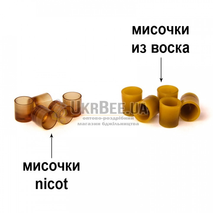 Silicone mould for making cell cups (50 cell cups)