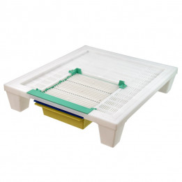 Bottom board for 10-frame hive with pollen trap