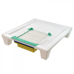 Bottom board for 10-frame hive with pollen trap