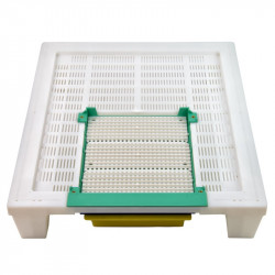 Bottom board for 10-frame hive with pollen trap