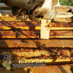 Varostop (strips for Varroa mite treatment)