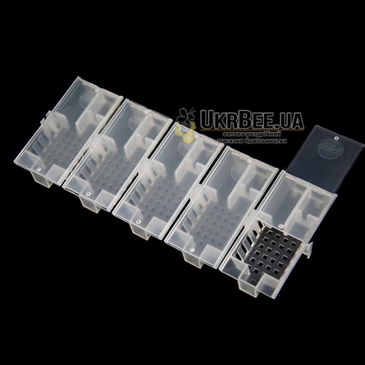 Gaidar “Zhalo” Universal Queen Mailing Cage