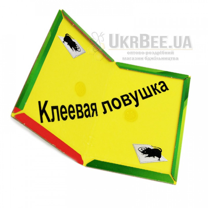 Клейова пастка (книжка) 17*12 см (мал. 2)