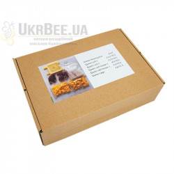 Jenter Comb Analogue (China)